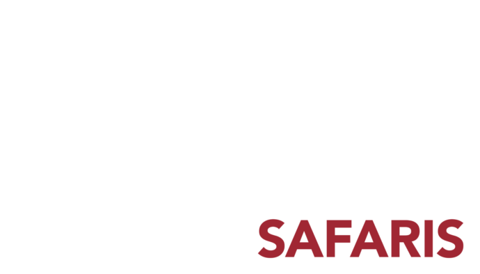 Logo Talizi-Sfaris